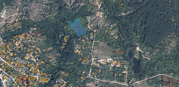 ����� ������, ������ - ������