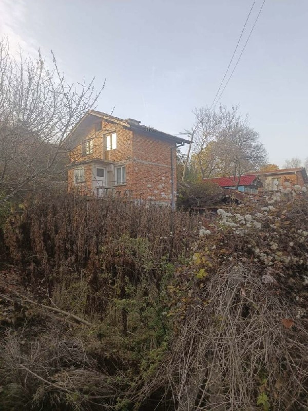 ����� ������, ����� - ����