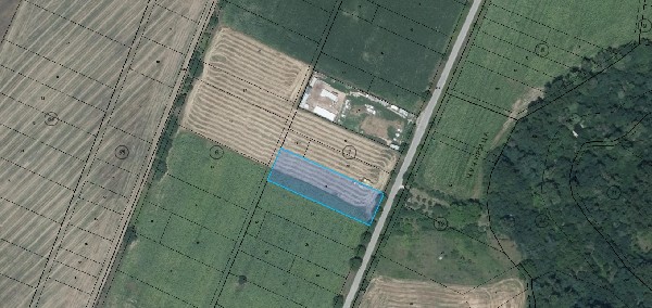 ����� ������, ��������� - ������