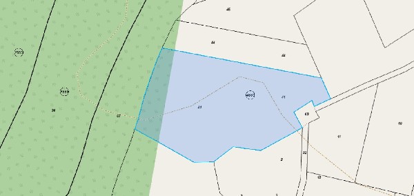 ����� ������, ������ - ������