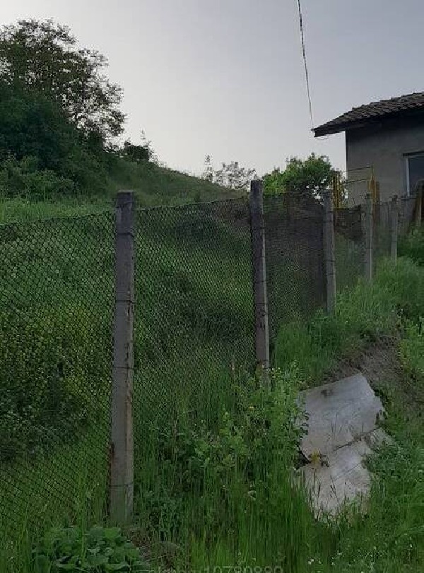 ����� ������, ������� - ����