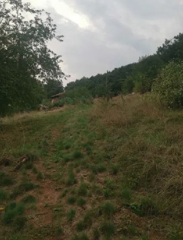  ,  - 