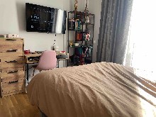 ,   - 