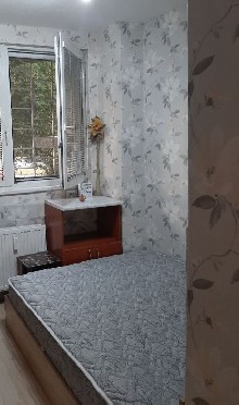 ,  - 
