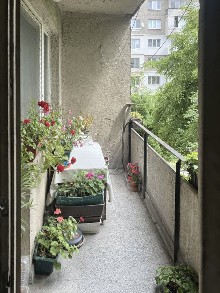 �����, ����� ������ - ��������
