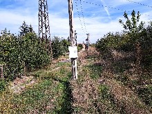 ����� ������, ���� ������ - ������