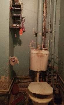 �����, ���� ���� - ���������