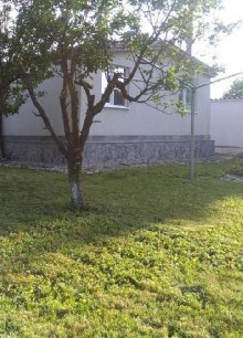 ,  - 