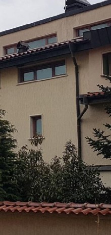 ,  - 