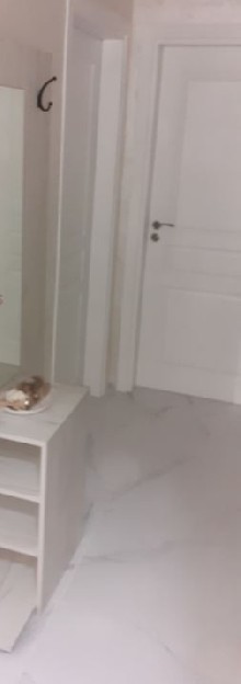 ,  - 