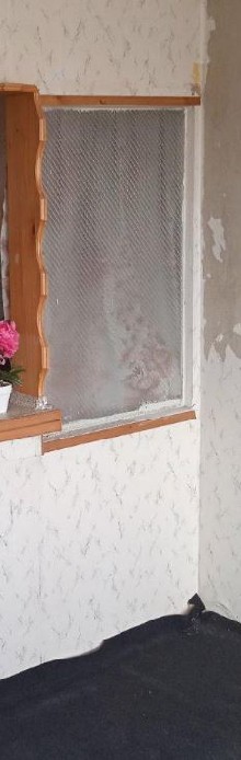 ,  - 