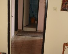 ,  - 