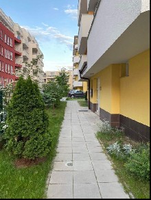 ,   - 