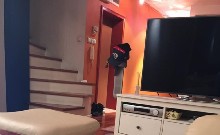 ,  - 