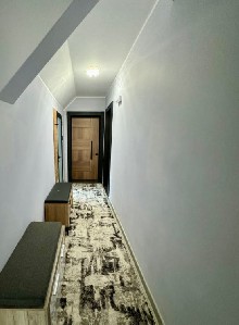 ,  - 