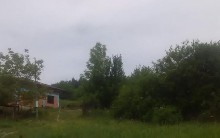 ,  - 