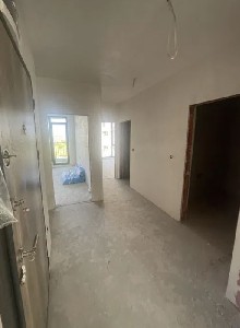 ,  - 