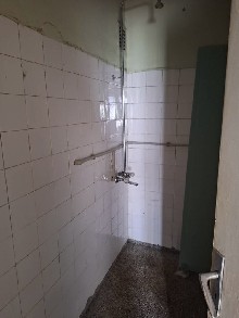 �����, ���������� - ��������