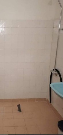 ,  - 