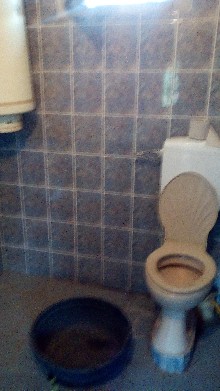 ,  - 
