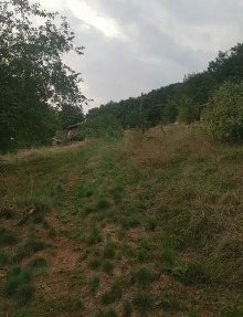  ,  - 