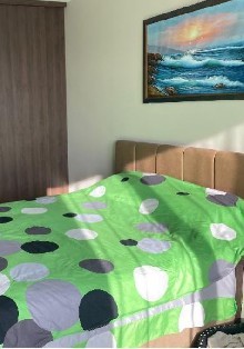 ,  5 - 