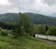 �����, �������� - ������