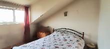 �����, ���� ����� - ���������