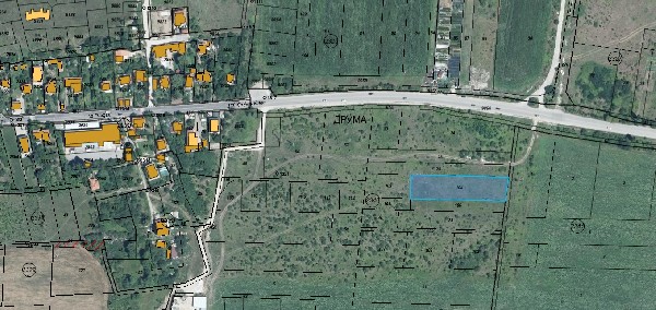 �����, ����� - ������