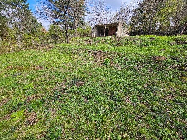 �����, ������ - ������