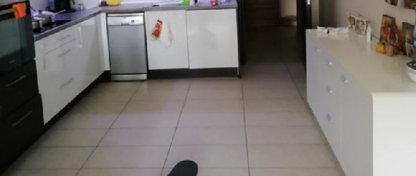 ,  - 