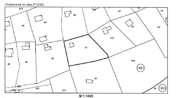 �����, ������� - ������