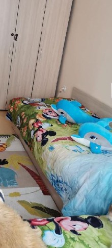 ,  - 