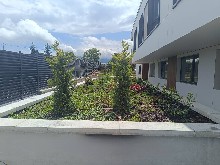 �����, ����� - ��������