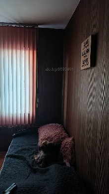 ,  - 