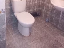 ,  - 