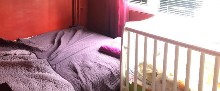 ,  - 