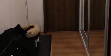 ,  - 