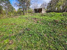 �����, ������ - ������