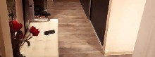 ,  - 