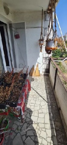 ,  8 - 