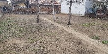 ,  - 
