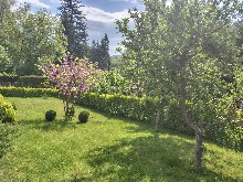�����, ������� - ����