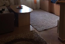 ,  - 