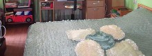 ,  - 