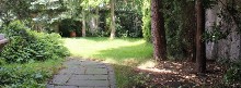 ,  - 