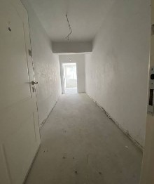 ,  - 