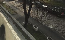 ,  - 
