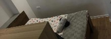 ,  - 
