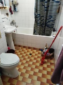 ,  - 